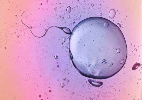 受孕时间不知道怎么计算-教你这四招轻松推算怀孕周期